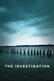 The Investigation