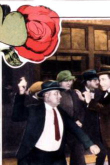 The Shamrock and the Rose