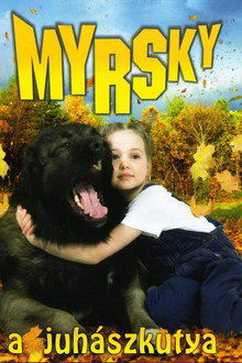 Myrsky, a juhászkutya