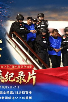 缅北电诈覆灭纪实