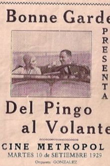 Del pingo al volante