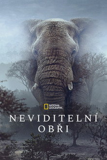 Neviditelní obři