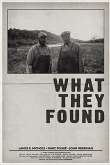 Poster do filme What They Found