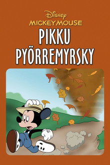 Pikku pyörremyrsky