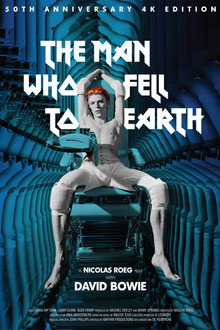 The Man Who Fell to Earth