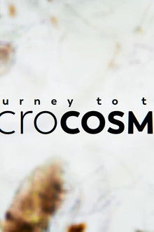 Journey to the Microcosmos