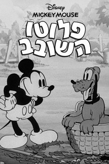 פלוטו השובב