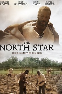 The North Star poster