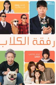 도그데이즈