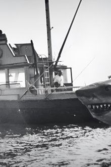 Jaws @ 50: The Definitive Inside Story