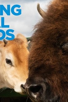 Amazing-Animal-Friends