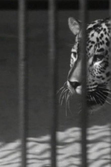 Zoo