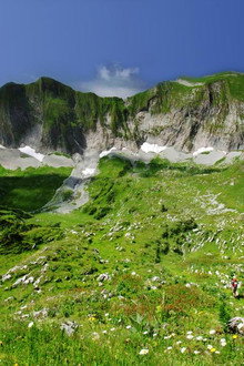 Unsere-wilde-Schweiz