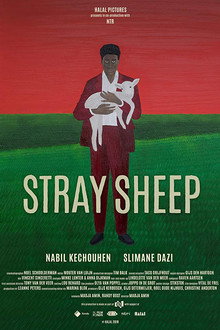 Stray Sheep