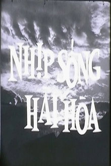 Nhịp Sống Hài Hòa