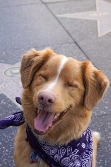 Photo of Indy