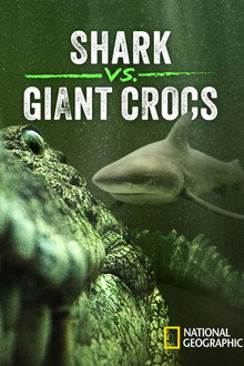 Shark vs. Giant Croc