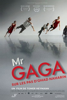Mr Gaga