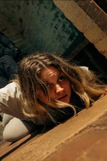 The Cellar
