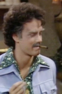 Bosom Buddies - Season 2