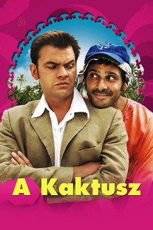 A kaktusz