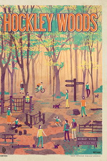Hockley Woods