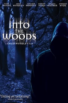 Poster do filme Into the Woods