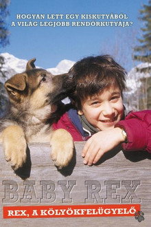 Rex, a kölyökfelügyelő