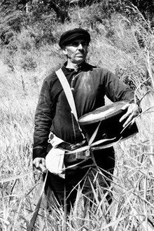 Guerra do Paraguay