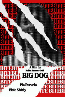 Big Dog