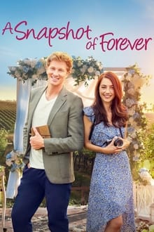 Poster do filme A Snapshot of Forever