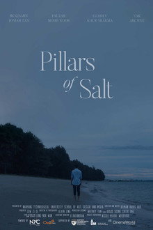 Pillars of Salt