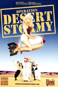 Poster do filme Operation: Desert Stormy