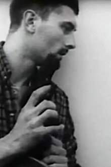 Mondo Bobo
