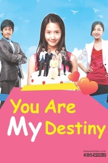 Poster da série You are My Destiny