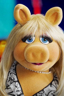 Muppets Now
