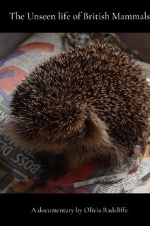 The Unseen life of British Mammals