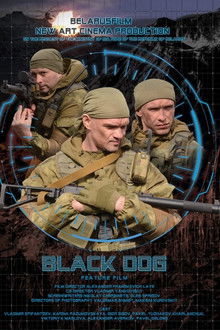 Black Dog