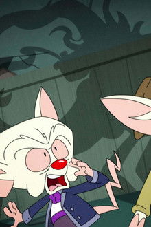 Animaniacs season 1 episode 35