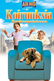 Koiruuksia keskuspuistossa
