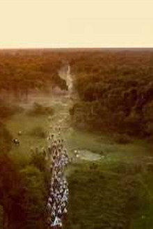 Pantanal: A Boa Inocência de Nossas Origens