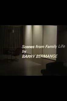 Poster do filme Scenes from Family Life