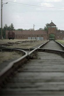 Les Traces D'Auschwitz (2021)