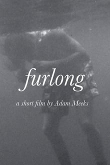 Poster do filme Furlong