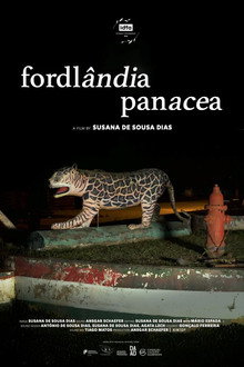 Fordlândia Panacea