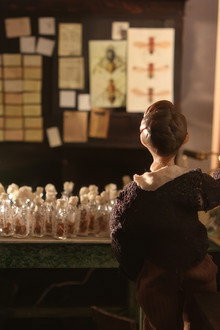 The Fly Room