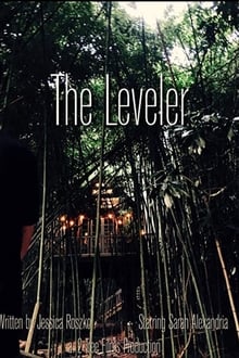 Poster do filme The Leveler