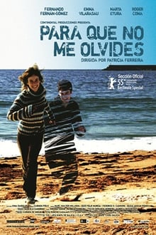 Poster do filme Something to Remember Me By