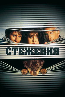 Стеження 2