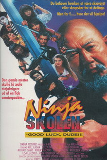 Ninja Skolen